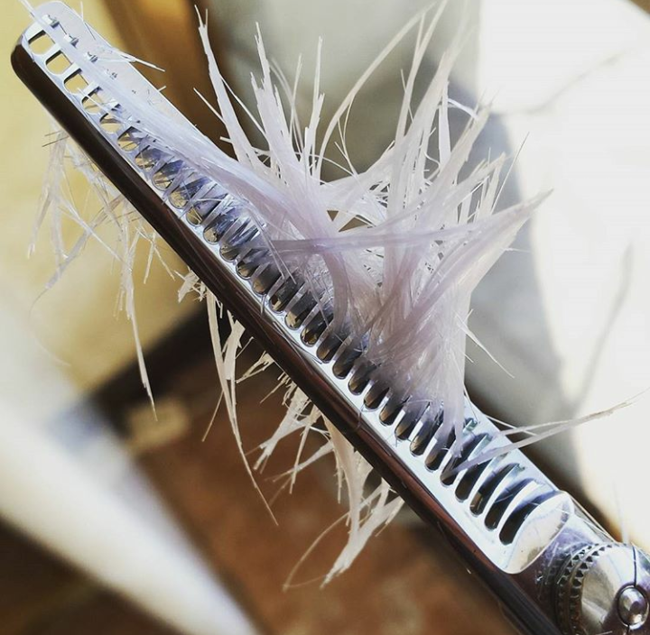 Immagine SALONE SEVERINA DI LIBERO PAOLO a VIA JAPPELLI 5 ABANO TERME